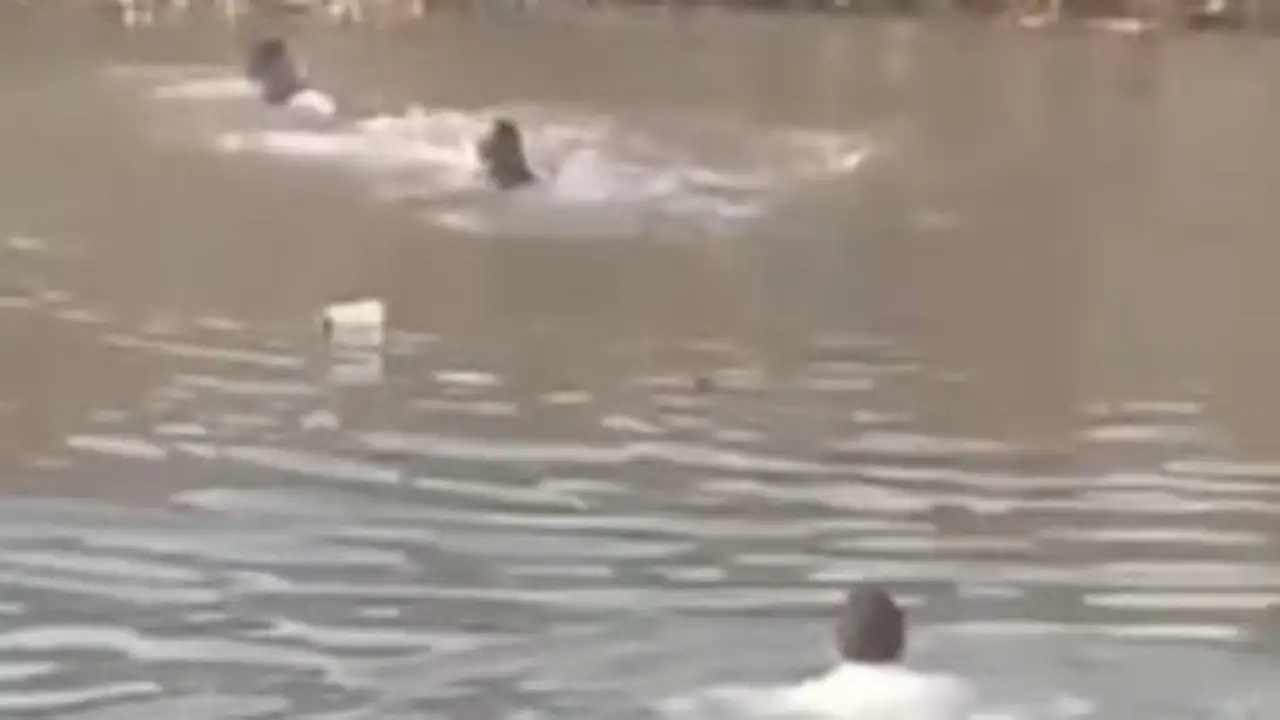 انتشال جثث 3 غرقى في نهر النيل بأسوان هربًا من الحرارة الشديدة
